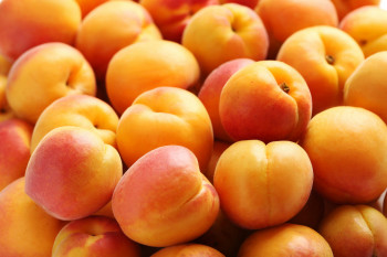 Abricots