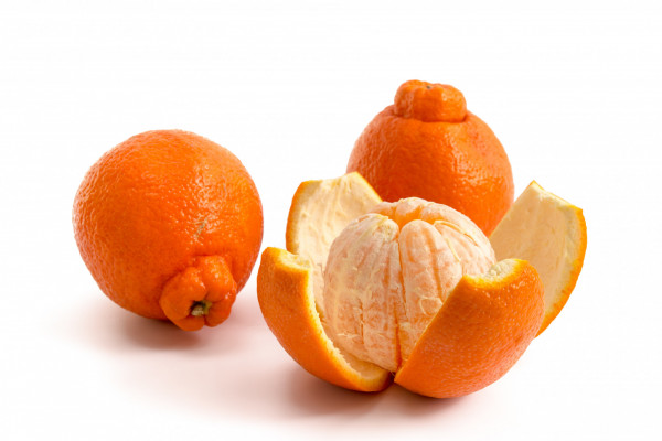 Mandarines de Sicile